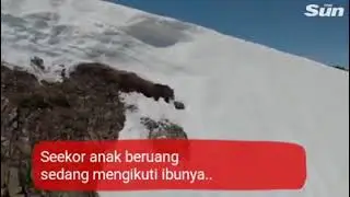 sejauh apa pun kamu jatuh tetap lah bangkit,berusaha,dan ber Doa,jgn putus asa#bungo chanel