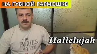 Hallelujah на губной гармошке