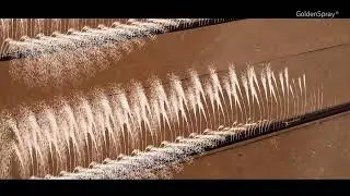 Golden Spray