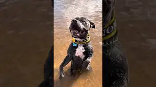 GETTING TO KNOW THE LAKE FOR THE FIRST TIME 