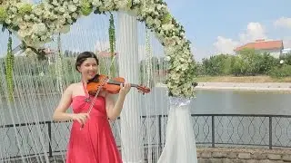 Скрипка на выездной церемонии в Одессе