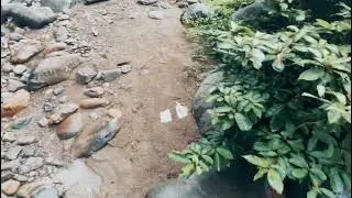 Leave footprints, not trash
