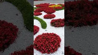 Клумба Харьков 