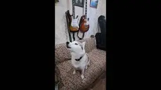 Юки поет