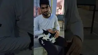 My cute Billi Chiku🐱 