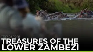 TRIP REPORT | Treasures of the Lower Zambezi