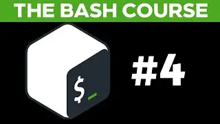 The Bash Course: How to write your first shell script! Lecture #4