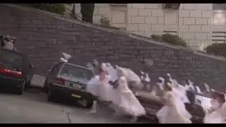Khamzat Chimaev takedown