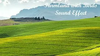 Farmland sound effect
