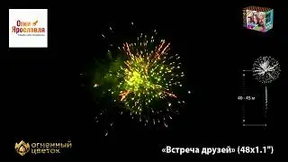 OC8541 ВСТРЕЧА ДРУЗЕЙ