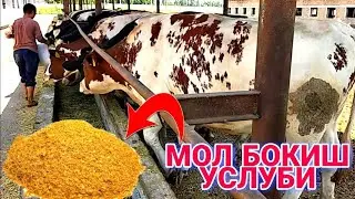 УЙ ШАРОИТИДА МОЛ БОКИШ  УСЛУБИ