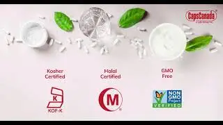 Empty Capsules Certifications