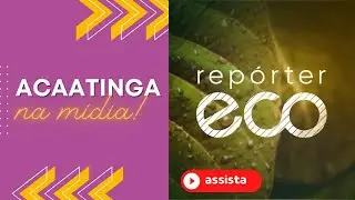 Associação Caatinga no Repórter Eco