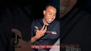 kal nuurshaay