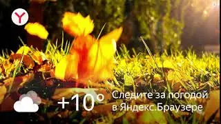 1920x1080 Bro leaf fall cloudy +10 29