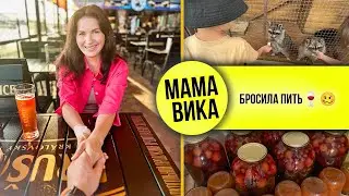 VLOG: ОТКЛЮЧАЮТ YouTube😱/ Ваня в ЗООПАРКЕ🦁/ Мама Вика❤️