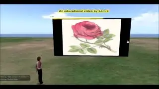 Build a Low Lag Slide Show Display-Get the free Script