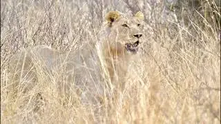 Jolanda over de fotoreis naar Zuid Afrika