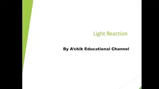 Core Science Textbook||Life Processes| Light reaction in Garo language| Biology MBOSE Class 10