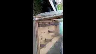 И такая осоловка