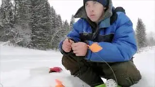 ПРИЗРАЧНАЯ РЫБАЛКА 2 СЕРИЯ!! СТАВЛЮ ЖЕРЛИЦЫ!!✌️ МИСТИЧЕСКАЯ ИСТОРИЯ С МОИМ УЧАСТИЕМ!😳