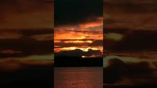 Стих 