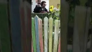 СУПЕР МЭМ ГОДА#shorts