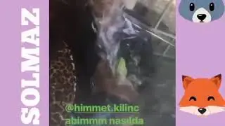 SOLMAZ YURT DIŞINDA YILBAŞINDA!