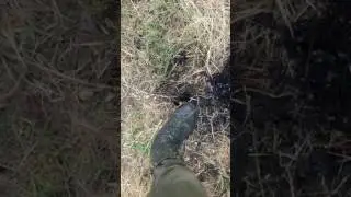 Нефть из под земли ШОК