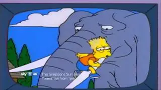 Sky1 The Simpsons Summer Fest Promo