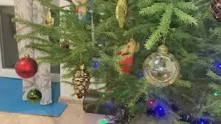 №262 НОВОГОДНИЕ КОНЦЕРТЫ