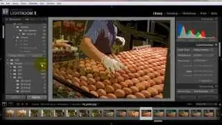 Importing your farm photos from camera to computer with Adobe Lightroom