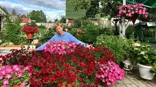 😍В гостях  у сказки😍