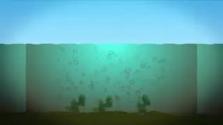 ENFERMEDADES EN LOS PECES