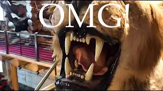 Epic Trophy Room! WORLD RECORD BEAR! HIPPO! RHINO! GIRAFFE! WOW!