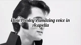 Elvis Presley  -  From a Jack To a King (Acapella)