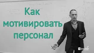Принципы мотивации сотрудников. Опыт LPTracker.
