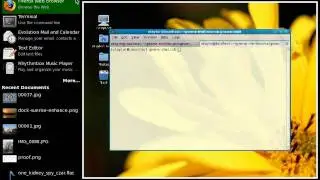 GNOME 3.0 Shell: Panel