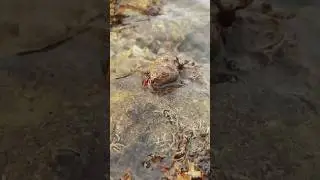 Вьетнамские будни 🇻🇳