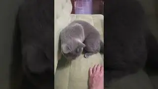 Зовёт спать