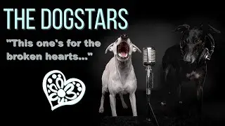 Dogstars Rockstars - die rockenden Hunde - For the broken Hearts