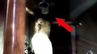 5 feathers in churches creepy