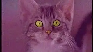 Whiskas 1996