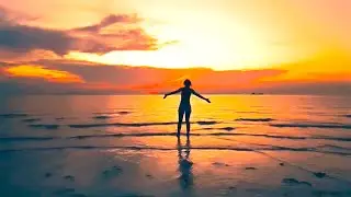 Purity  -  Paul Reeves
