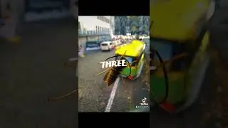 Recuerdos del viaje ✈️
