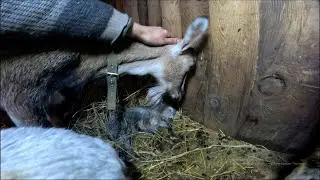 09.03.24г.  Грустная история, которая имела место в жизни быть.