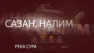 РР4! RF4! Русская Рыбалка 4! Река Сура - Сазан!