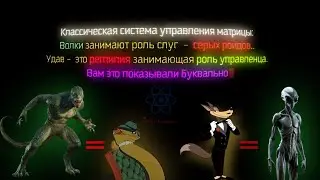 Cкорая помощь мультик 1949. Ambulance cartoon 1949
