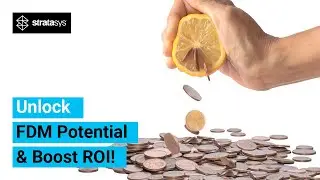 OpenAM Software: Unlock FDM Potential & Boost ROI