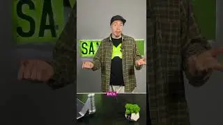 Якщо не знаєшь як обирати ДЕКУ 